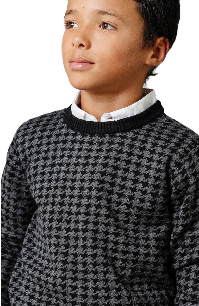 Hope & Henry Boys' Organic Intarsia Crew Neck Sweater, Kids, Alternate, color,