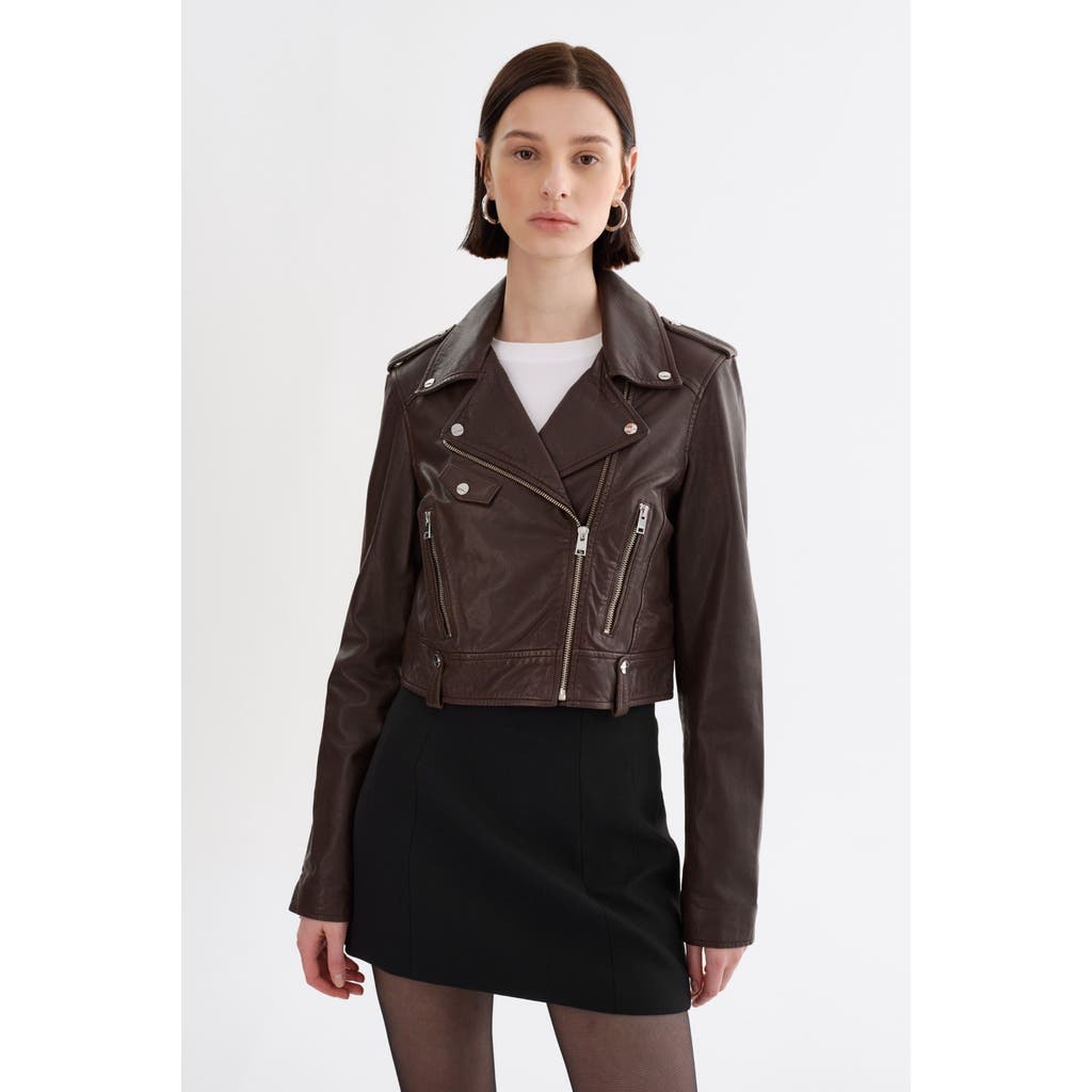 Lamarque Ciara | Cropped Leather Biker Jacket In Brown