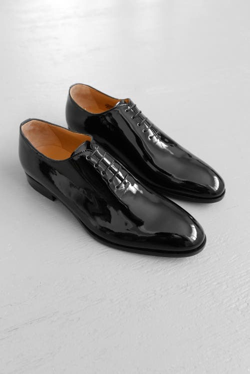 Ace Marks Carlo Wholecut Oxford In Black