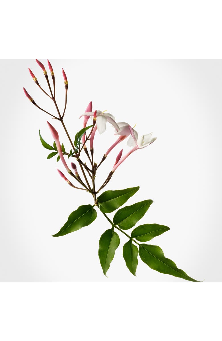 Donna Karan New York Donna Karan Cashmere Mist Purse Spray Set, Alternate, color, 