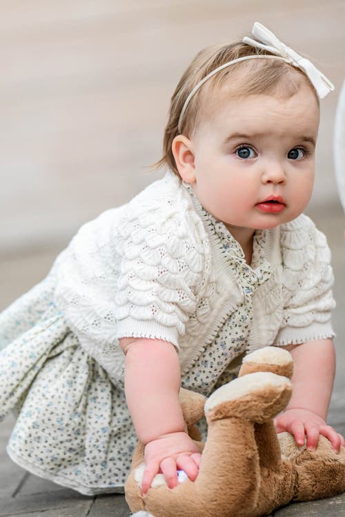 Oh Baby ! Shell Stitch Juliet Pointelle Short Sleeve Cardigan