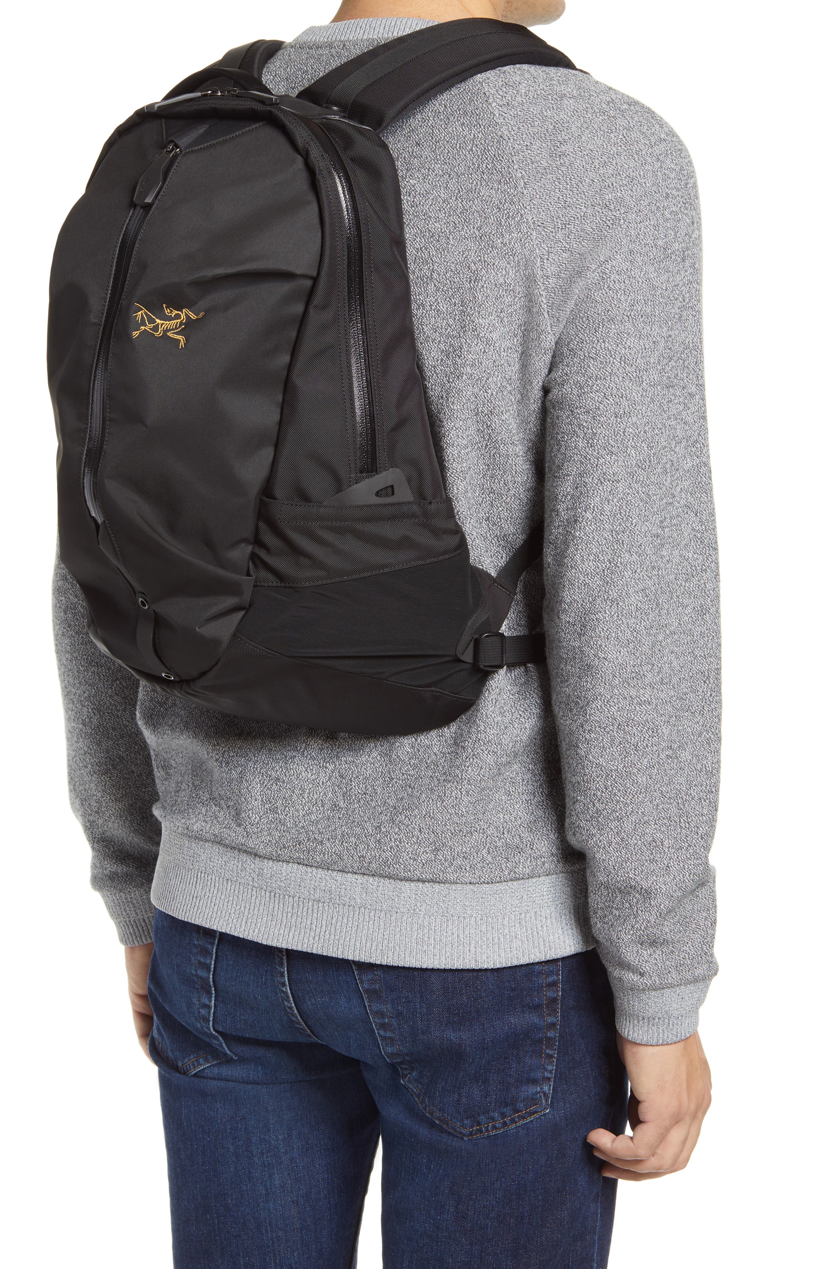 Arc'teryx Arro 16 Nylon Backpack, Alternate, color, 