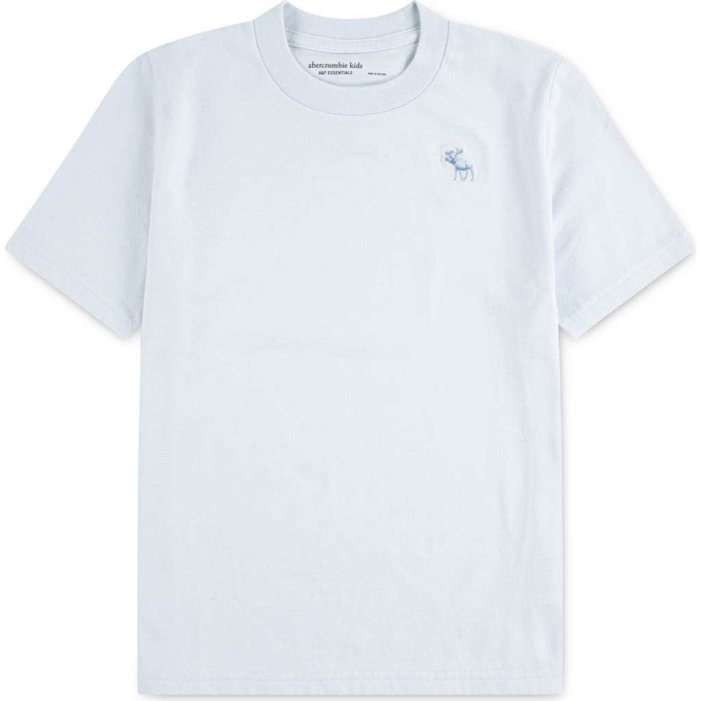 Abercrombie Boys Essential T-shirt In Blue