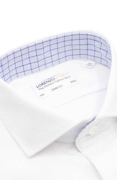 Lorenzo Uomo Trim Fit Basketweave Cotton Dress Shirt In White