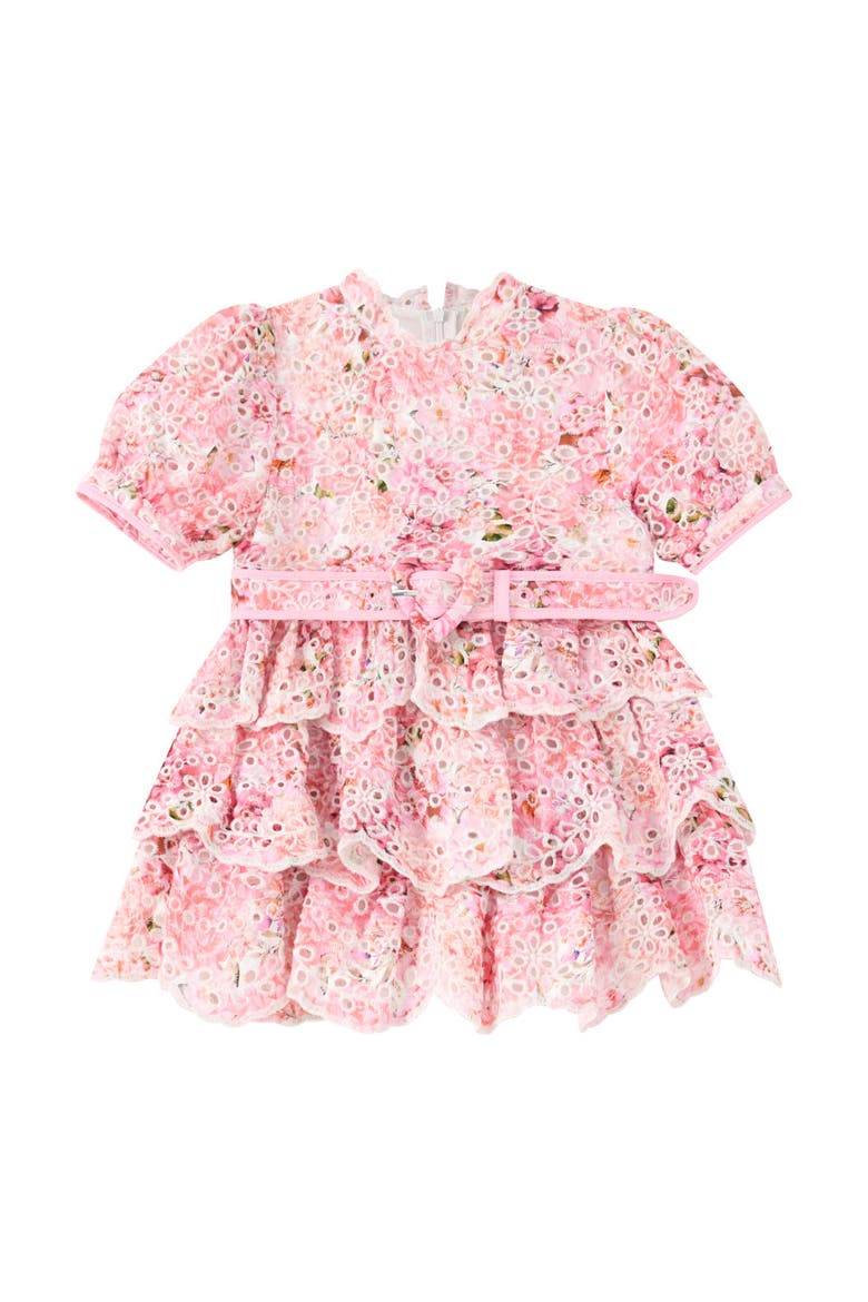 Julietta Cotton Embroidered Mini Dress, Main, color, Floral