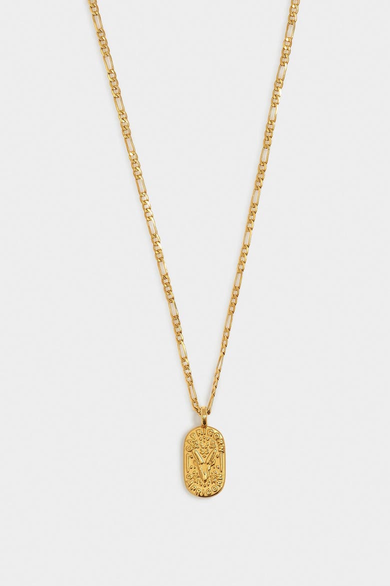 'Capricorn' Waterproof Gold Zodiac Necklace, Alternate, color, GOLD