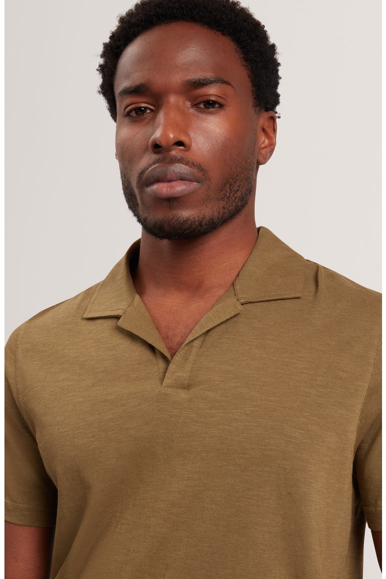 Anito Cotton & Linen Polo, Alternate, color, OLIVE