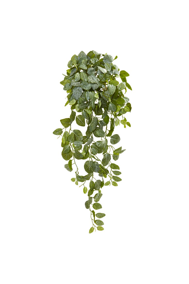 36-in Fittonia Hanging Bush Artificial Plant, Main, color, Green