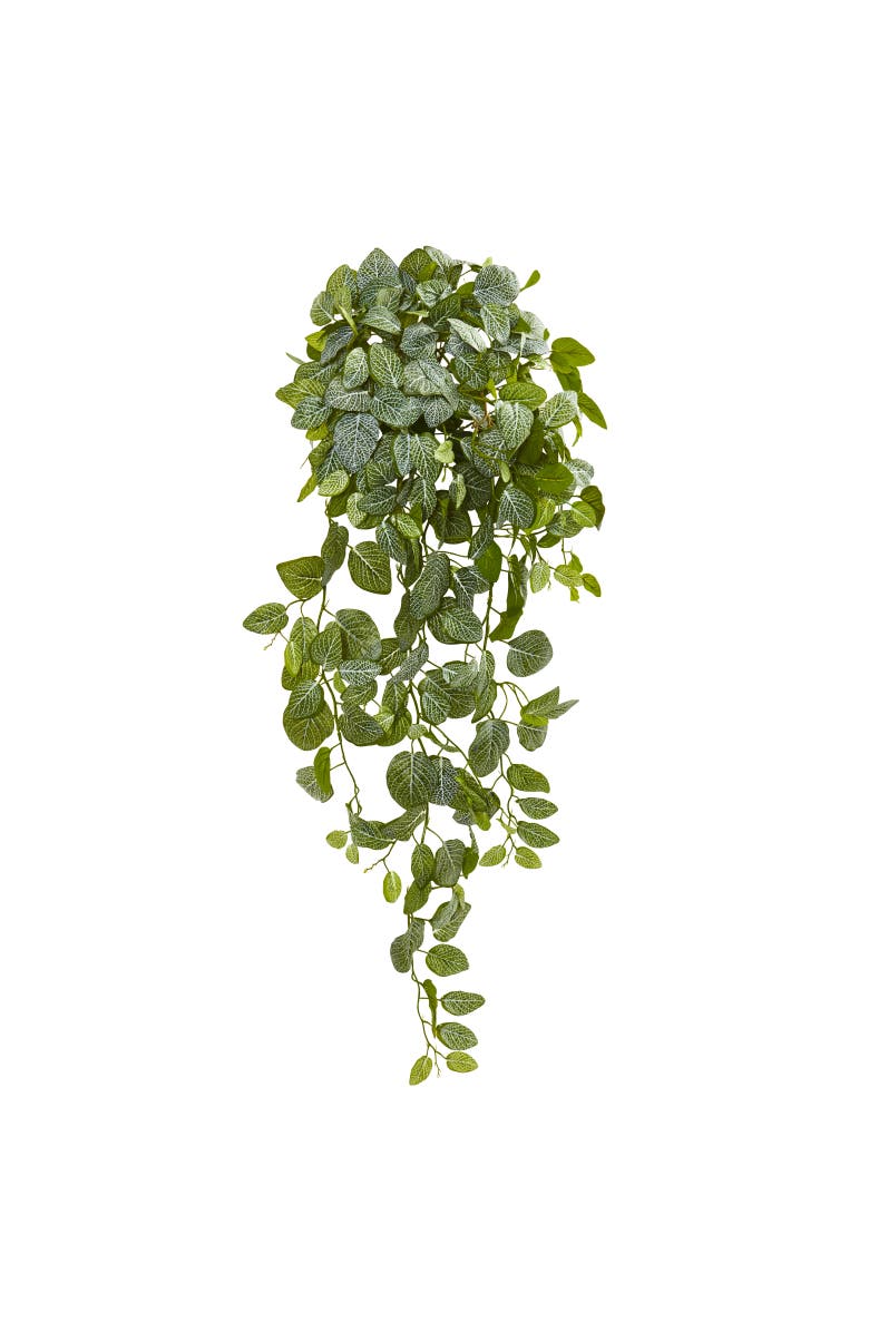 NEARLY NATURAL 36-in Fittonia Hanging Bush Artificial Plant, Main, color, Green