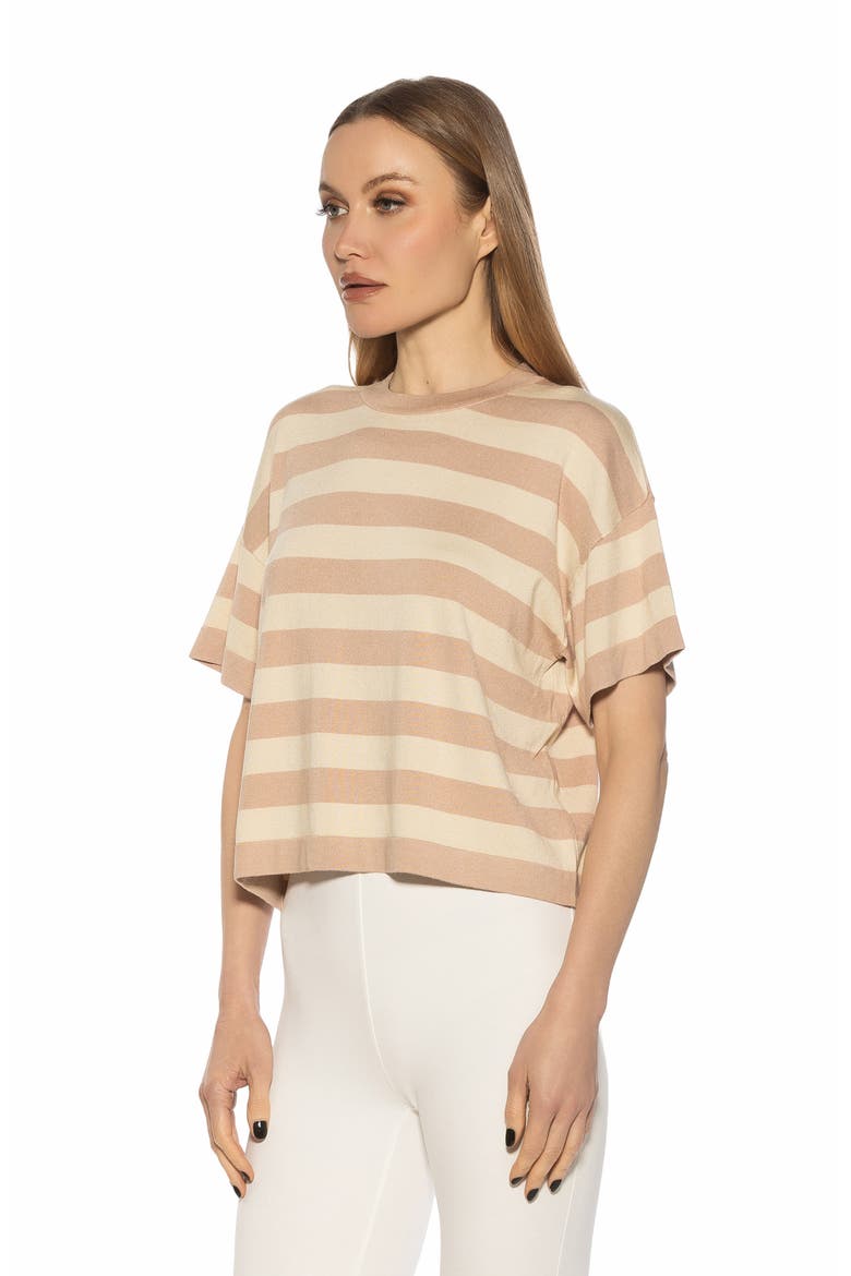 Remy Stripe Short Sleeve Top, Alternate, color, BEIGE
