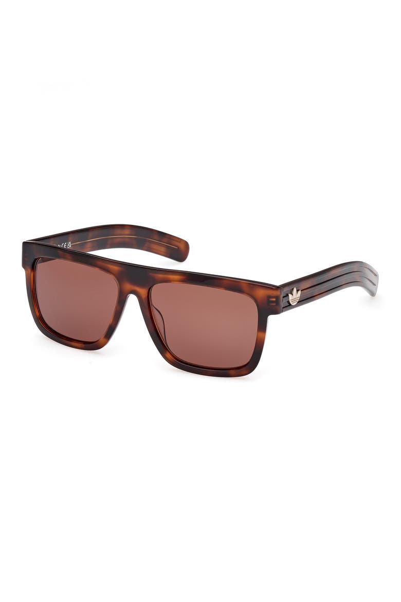 56mm Navigator Sunglasses, Alternate, color, DARK HAVANA/ BROWN