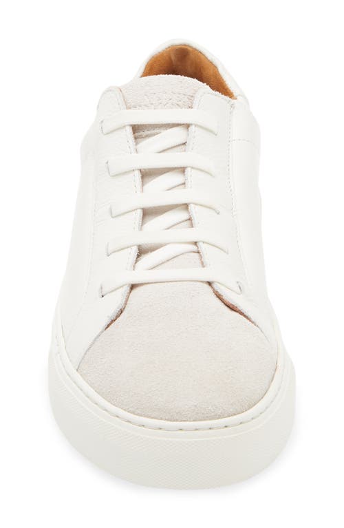 Allen Edmonds Fisher Slip-on Sneaker