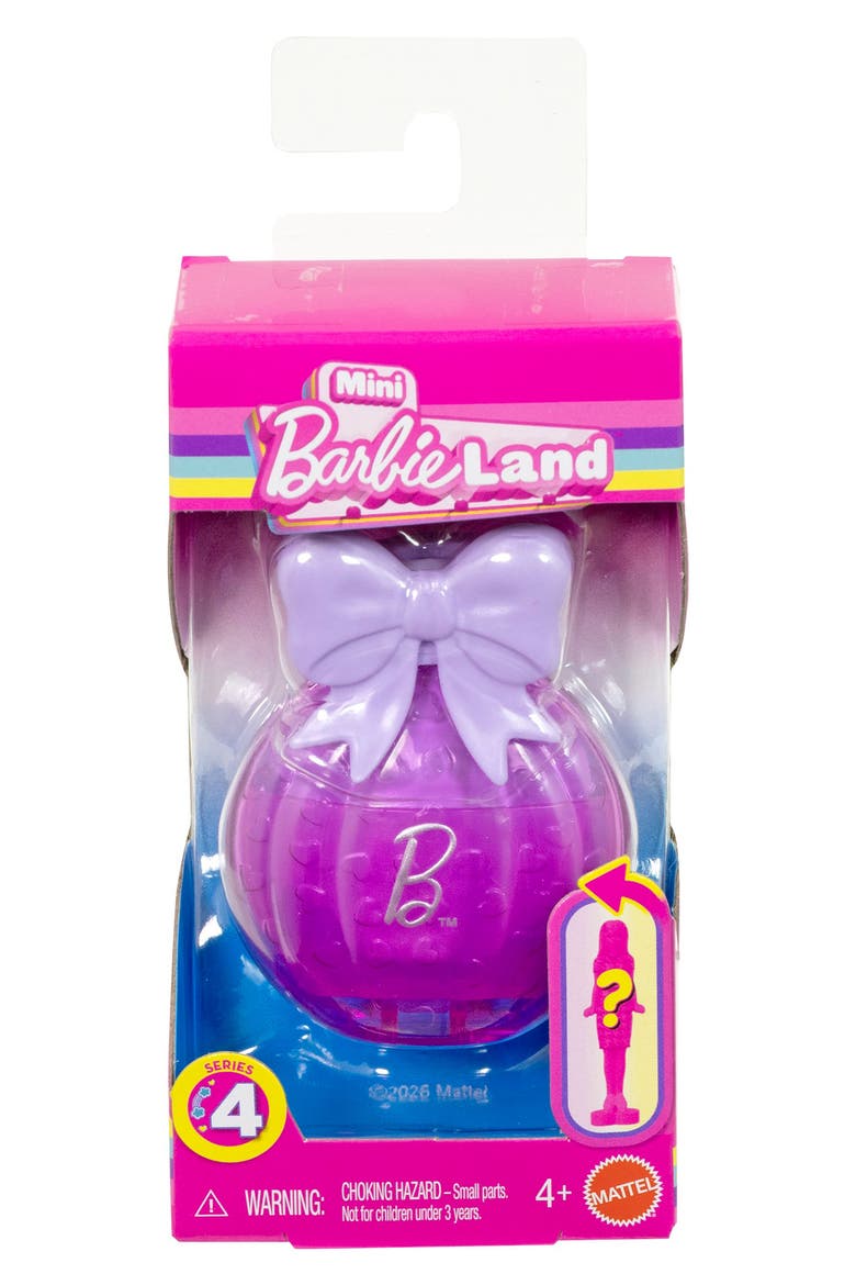 Mini Barbie Land Fashionista Mystery Box, Main, color, NONE