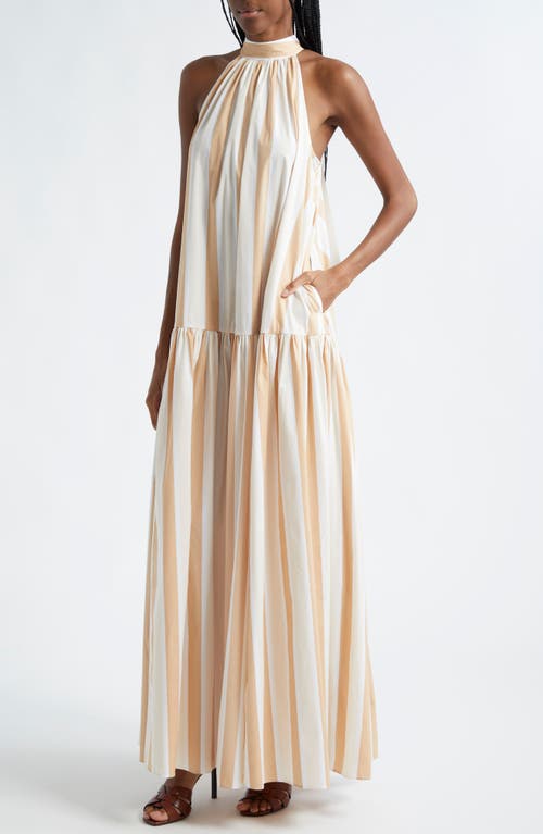 Staud Stripe Cotton Sundress In Sand Stripe