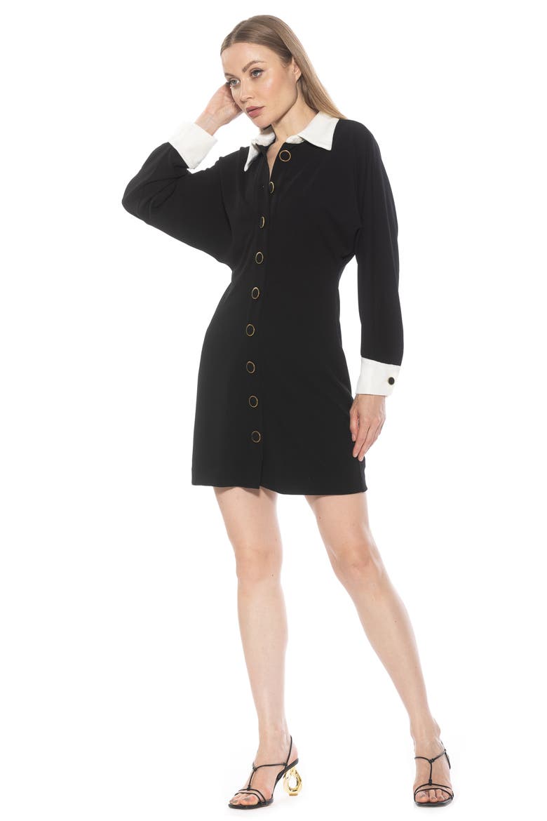Velvette Long Sleeve Shirtdress, Alternate, color, BLACK IVORY