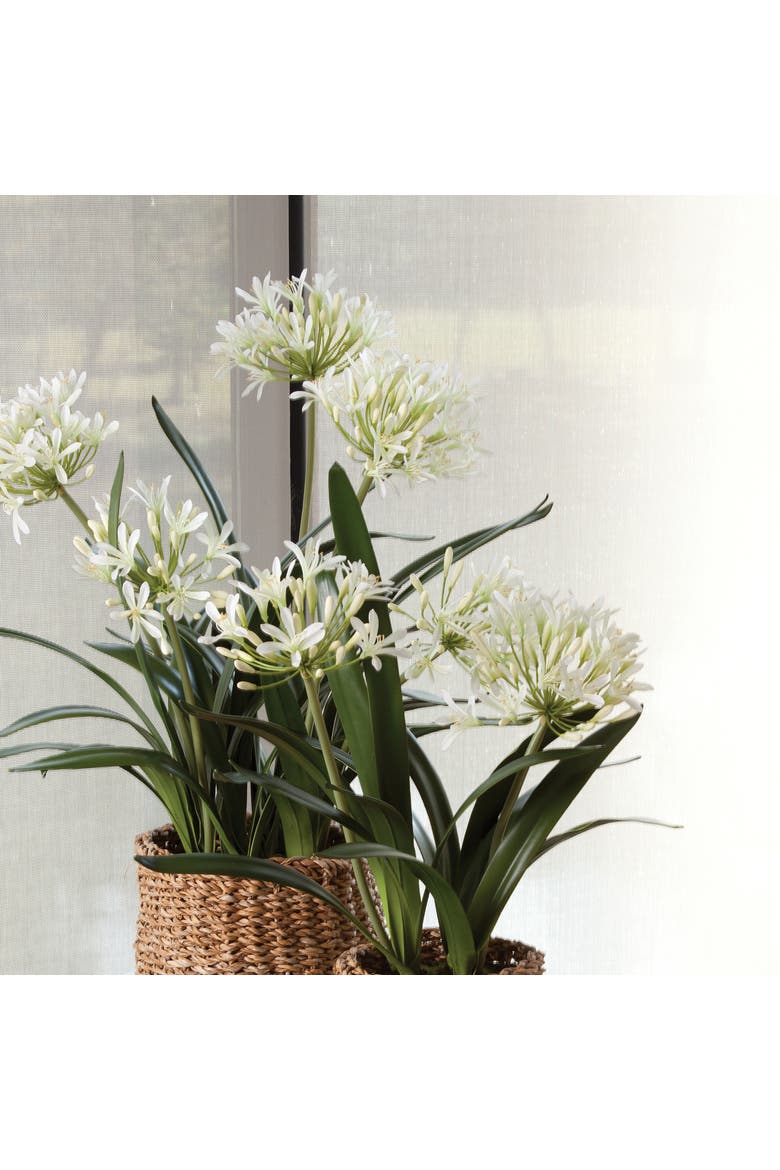 Agapanthus Drop-In Faux (Fake) 23", Alternate, color, White