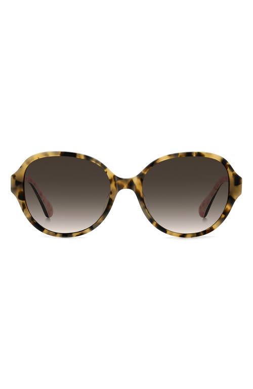 Kate Spade New York Emalie 56mm Gradient Oval Sunglasses In Havana/brown Sf