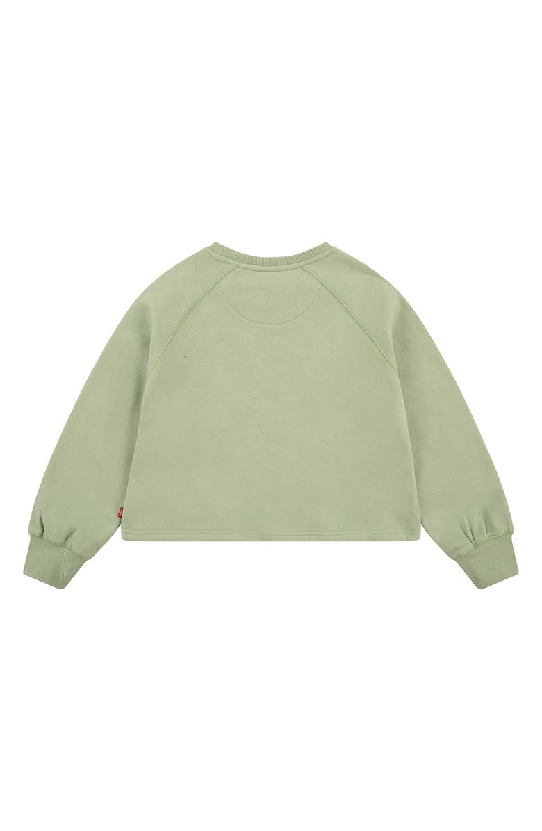 Levi's<sup>®</sup> Meet & Greet Raglan Sleeve Pullover, Alternate, color,