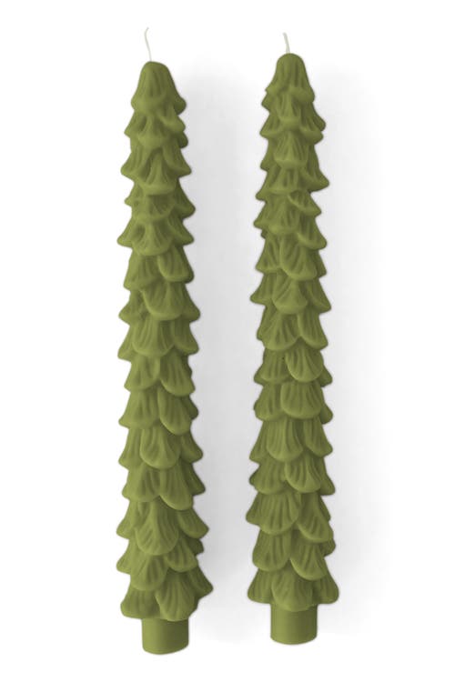 Sunshine Studios Holiday Tree Taper Candles In Green