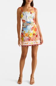 Ever New Sierra Printed Minidress
