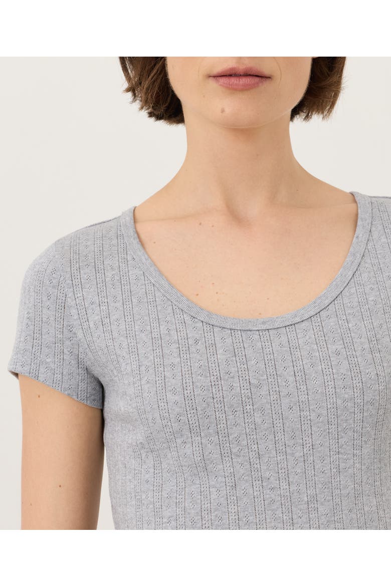Organic Cotton Pointelle Scoop Neck Tee, Alternate, color, Heather Grey