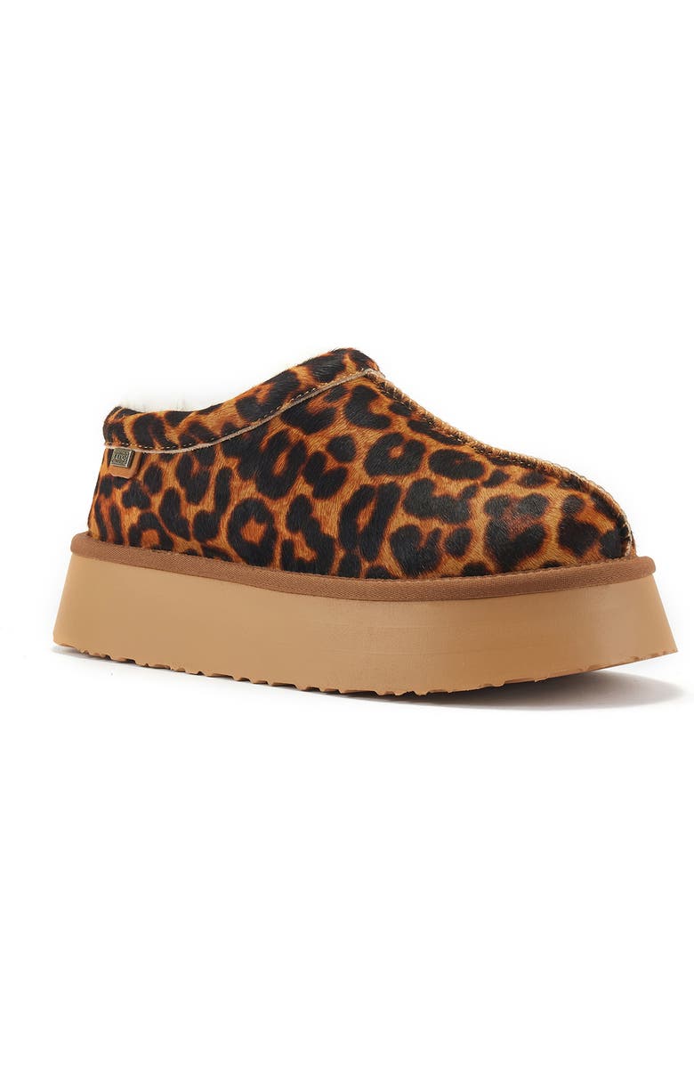 Australia Luxe Collective Outback Genuine Shearling Platform Slipper, Main, color, Leopard