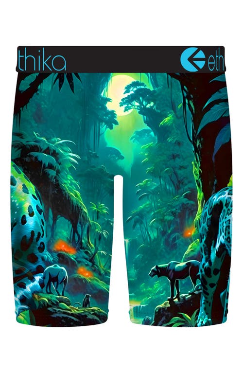 Ethika Boys Graphic Briefs In Green
