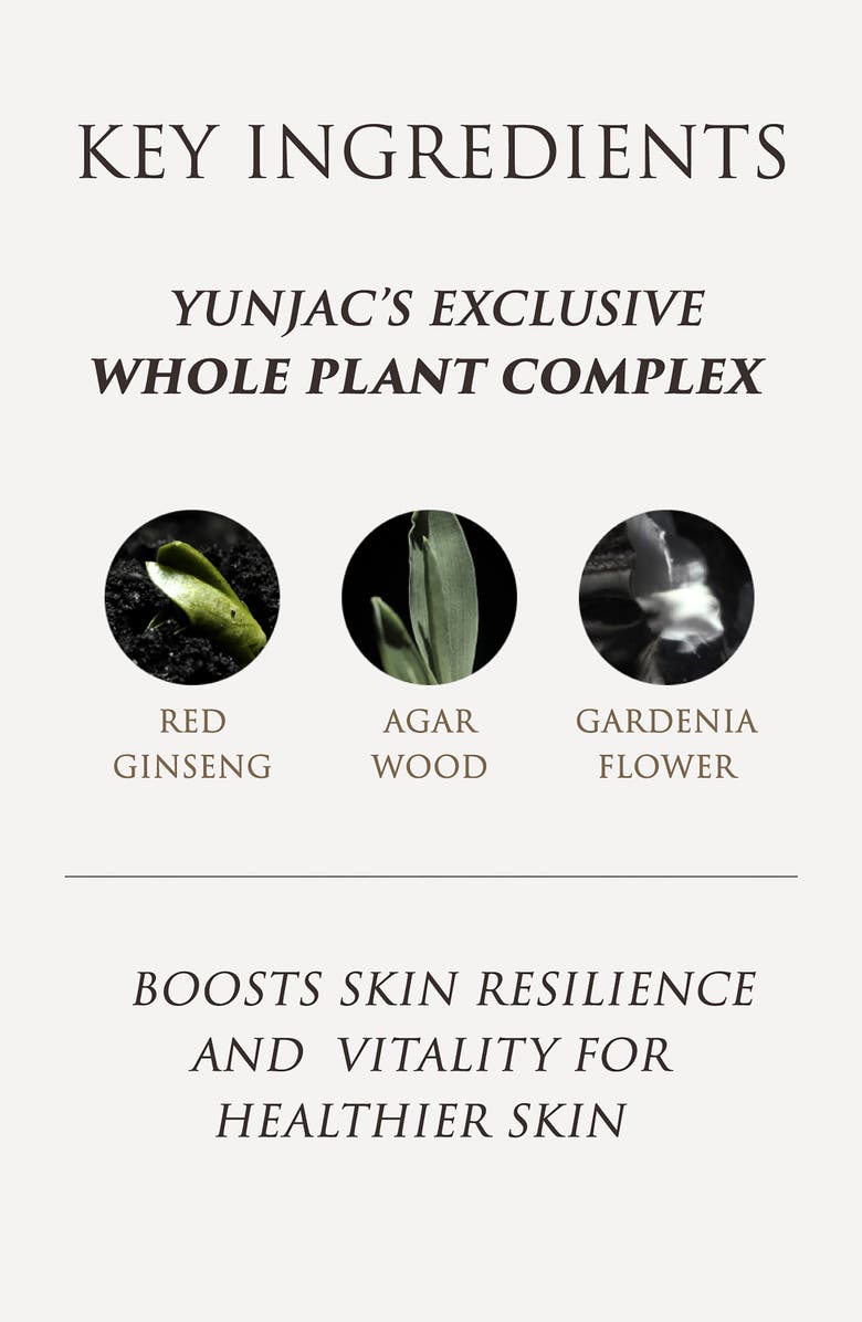 YUNJAC Whole Plant Effect Foam Cleanser, Alternate, color, 