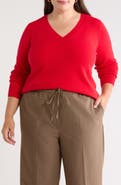 Nordstrom V-Neck Cashmere Sweater
