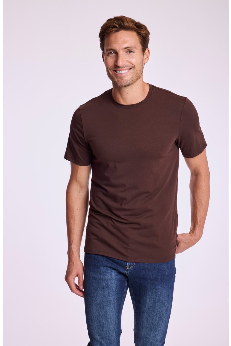 Lucas Crewneck T-Shirt, Alternate, color, DARK BROWN