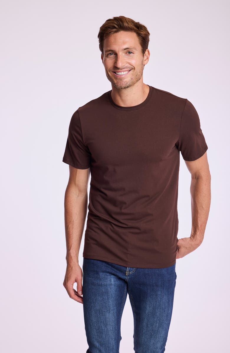 PAISLEY & GRAY Lucas Crewneck T-Shirt, Alternate, color, Dark Brown
