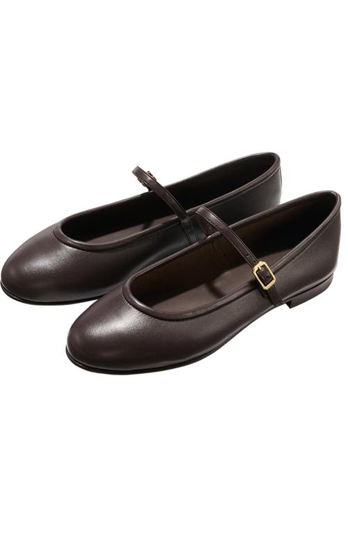 Margaux The Demi Jane Flat In Brown