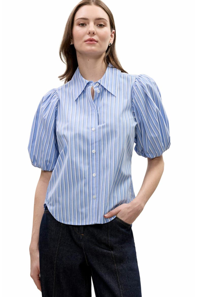 Priya Poplin Blouse, Alternate, color, BLUE STRIPE COMBO