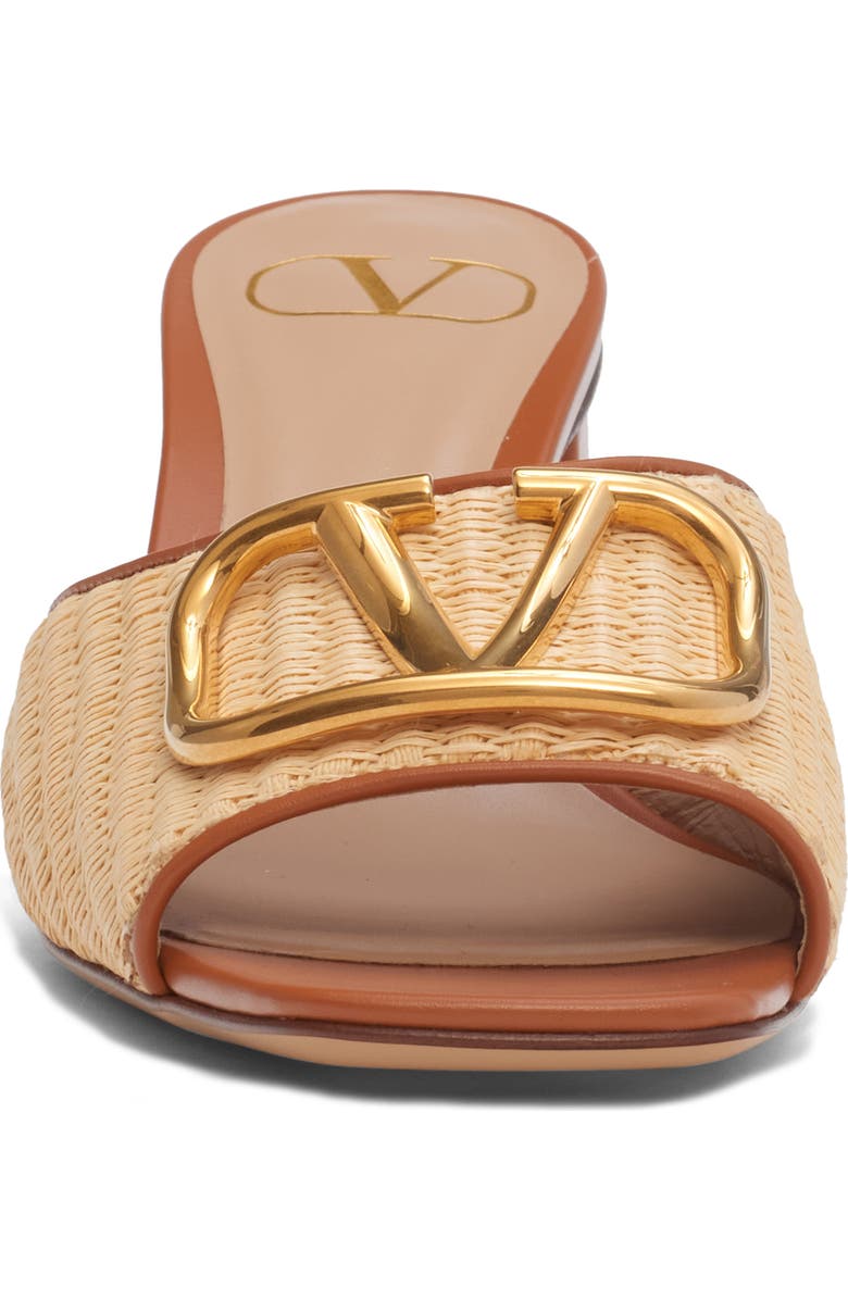 Valentino Garavani VLOGO Signature Slide Sandal, Alternate, color, Beige