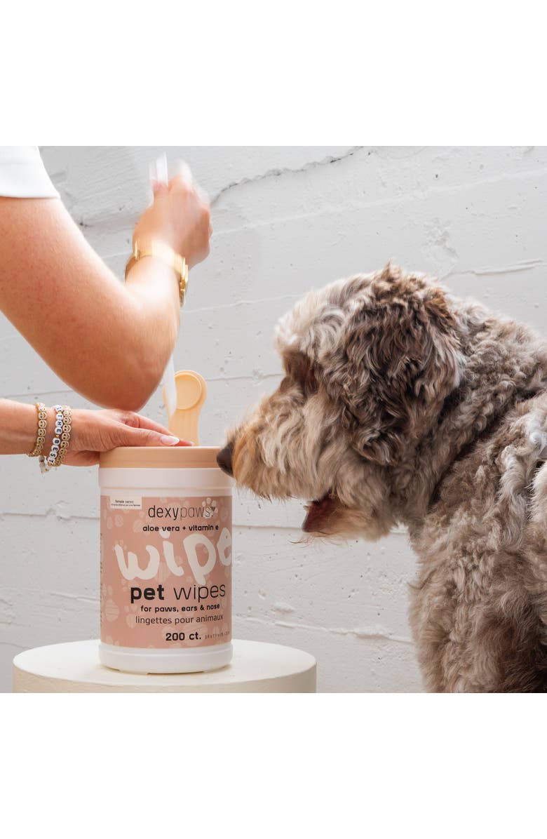 Dexypaws Pet Cleansing Wipes Canister 200Ct, Alternate, color, Multicolored