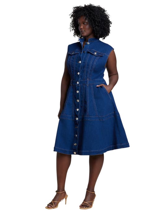 Fit & Flare Denim Dress