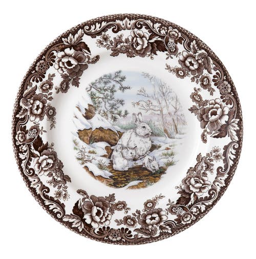 Spode Woodland American Wildlife 10.5" Dinner Plate In Snow Rabbit