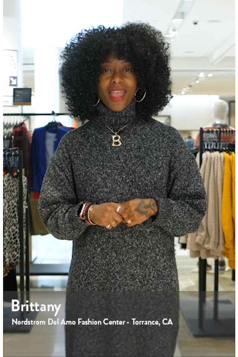 Ribou Zebra Print Long Sleeve Dress video
