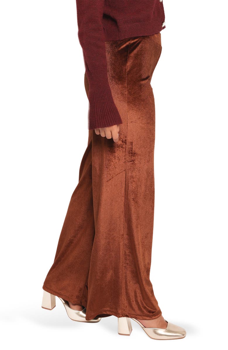 Petal & Pup Riley Stretch Velvet Wide Leg Pants, Alternate, color, Chocolate