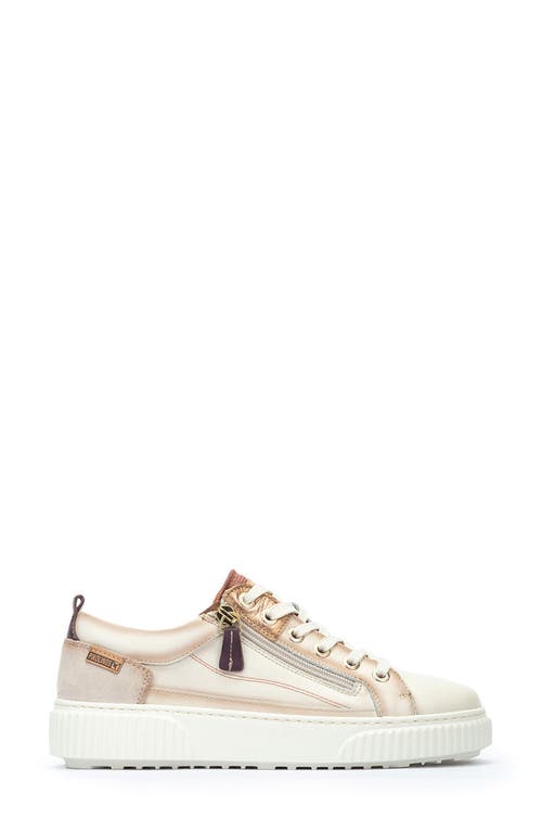Pikolinos Riells Sneaker In Multi