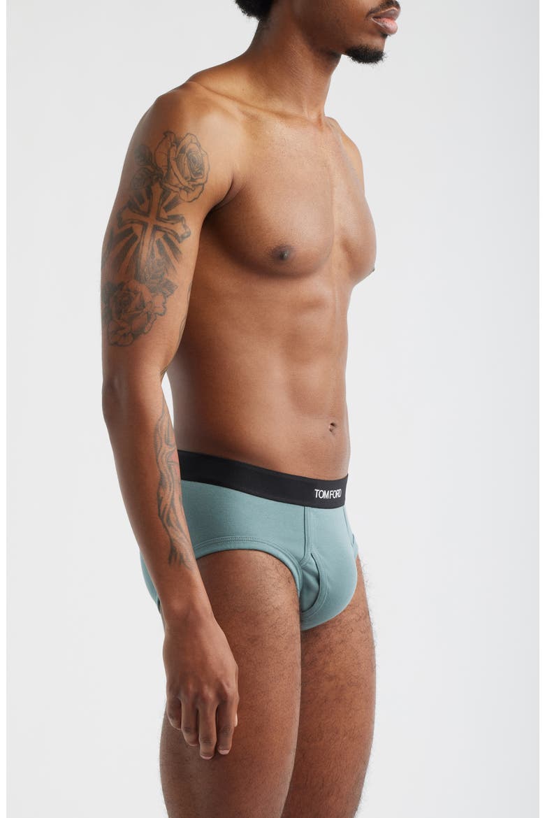 Cotton Stretch Jersey Briefs, Alternate, color, TEAL