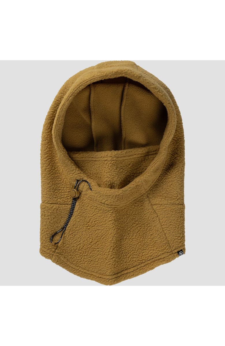 Backcountry Wander Pile-Fleece Hood, Alternate, color, Bistre