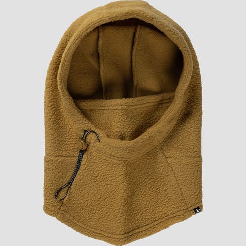 Backcountry Wander Pile-fleece Hood In Green