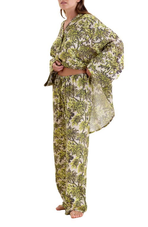 Papinelle X Karen Walker Canopy Wide Leg Pajamas In Citronelle