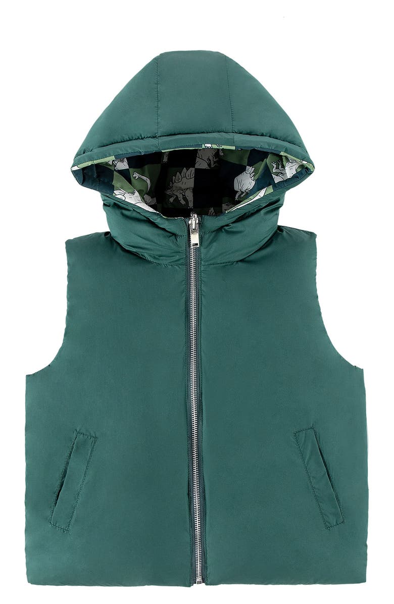 CALONIE Kids' Dylan Reversible Down Hooded Puffer Vest, Alternate, color, Olive