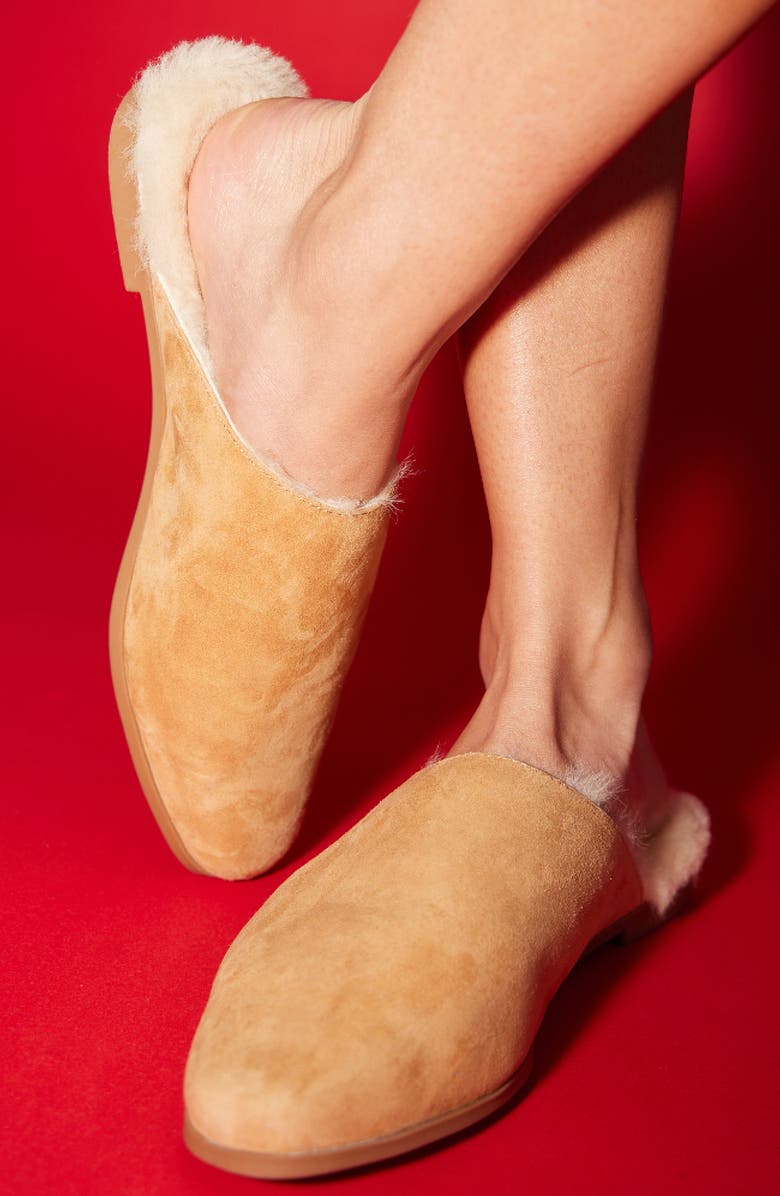 Yosi Samra Zoe Genuine Shearling Lined Mule, Alternate, color,