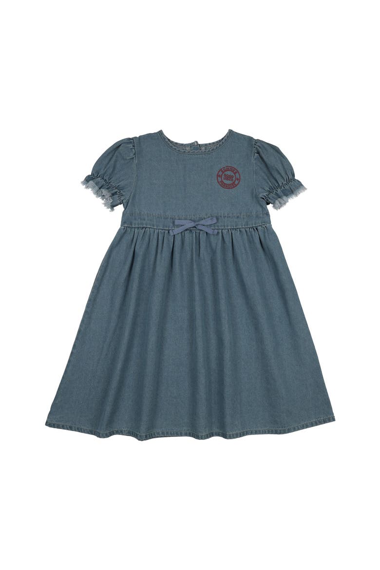 Denim Dress, Main, color, Blue
