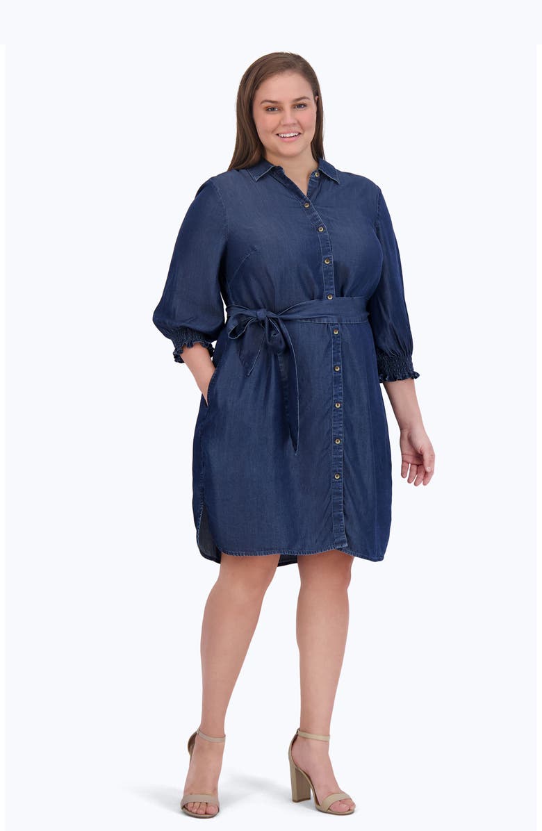 Foxcroft Abby Belted Long Sleeve Shirtdress, Alternate, color,