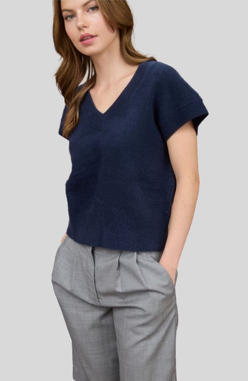 Blu Pepper V-neck Sweater Vest In Blue