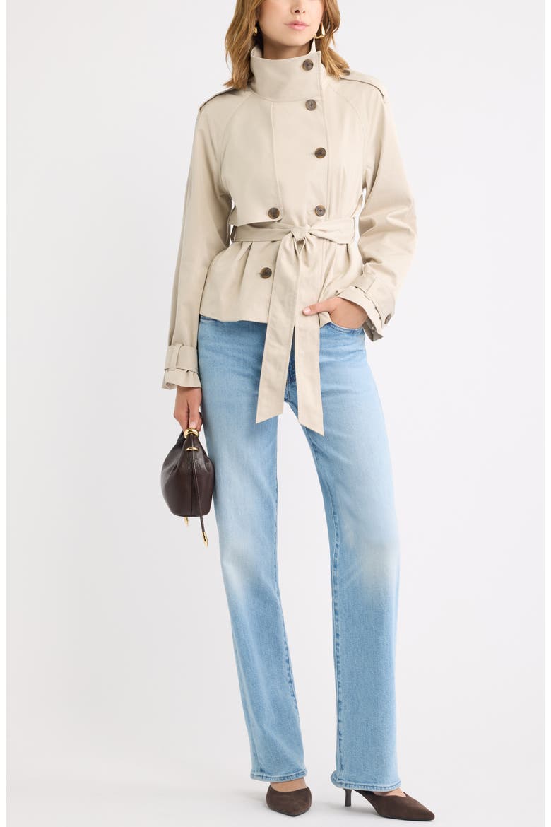 Double Breasted Crop Trench Coat, Alternate, color, GREY FEATHER